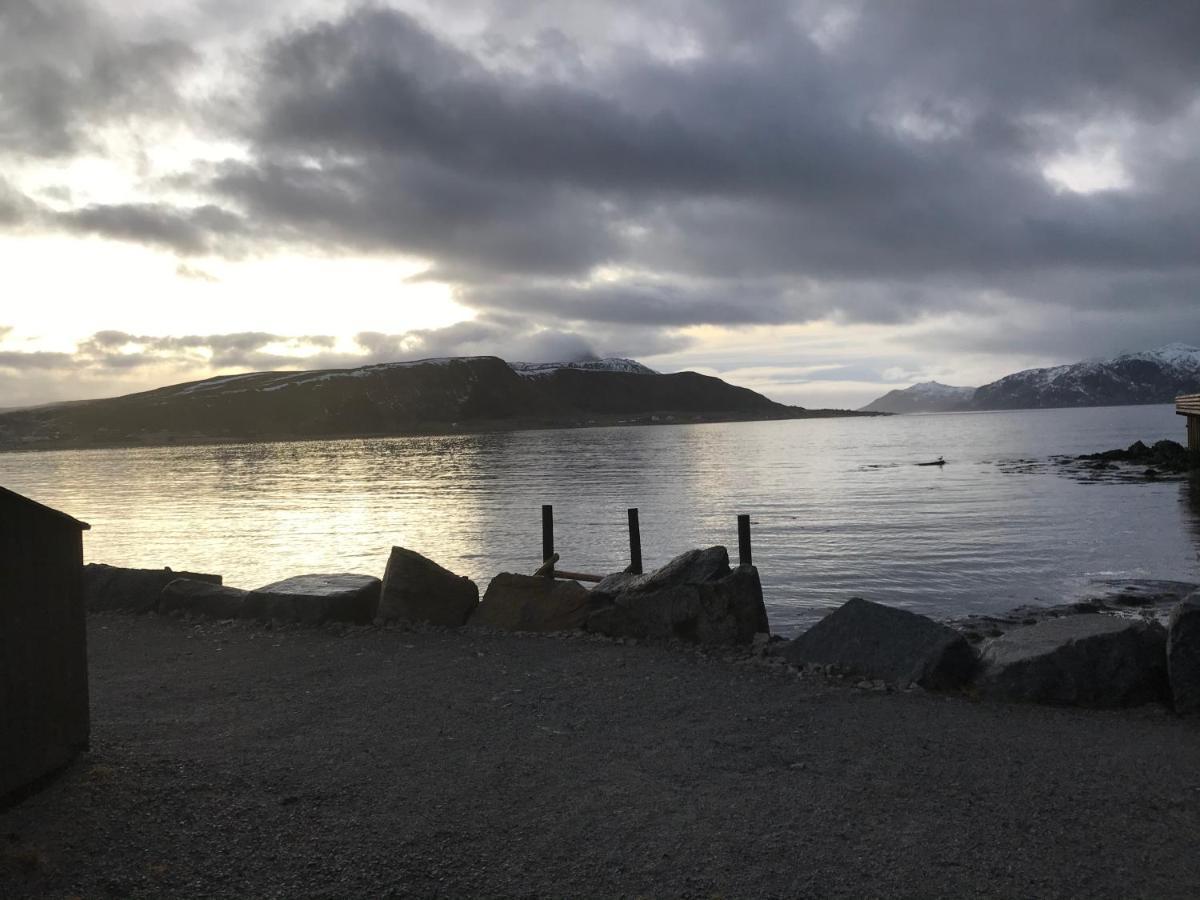 Lofoten Havfiske Лекнес Екстер'єр фото