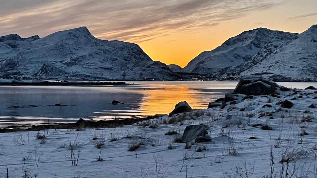 Lofoten Havfiske Лекнес Екстер'єр фото