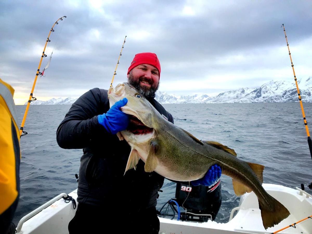 Lofoten Havfiske Лекнес Екстер'єр фото