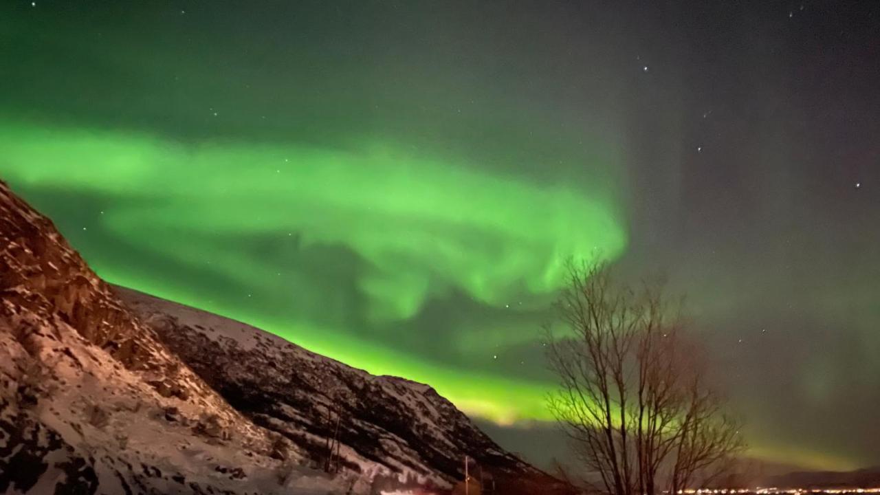 Lofoten Havfiske Лекнес Екстер'єр фото