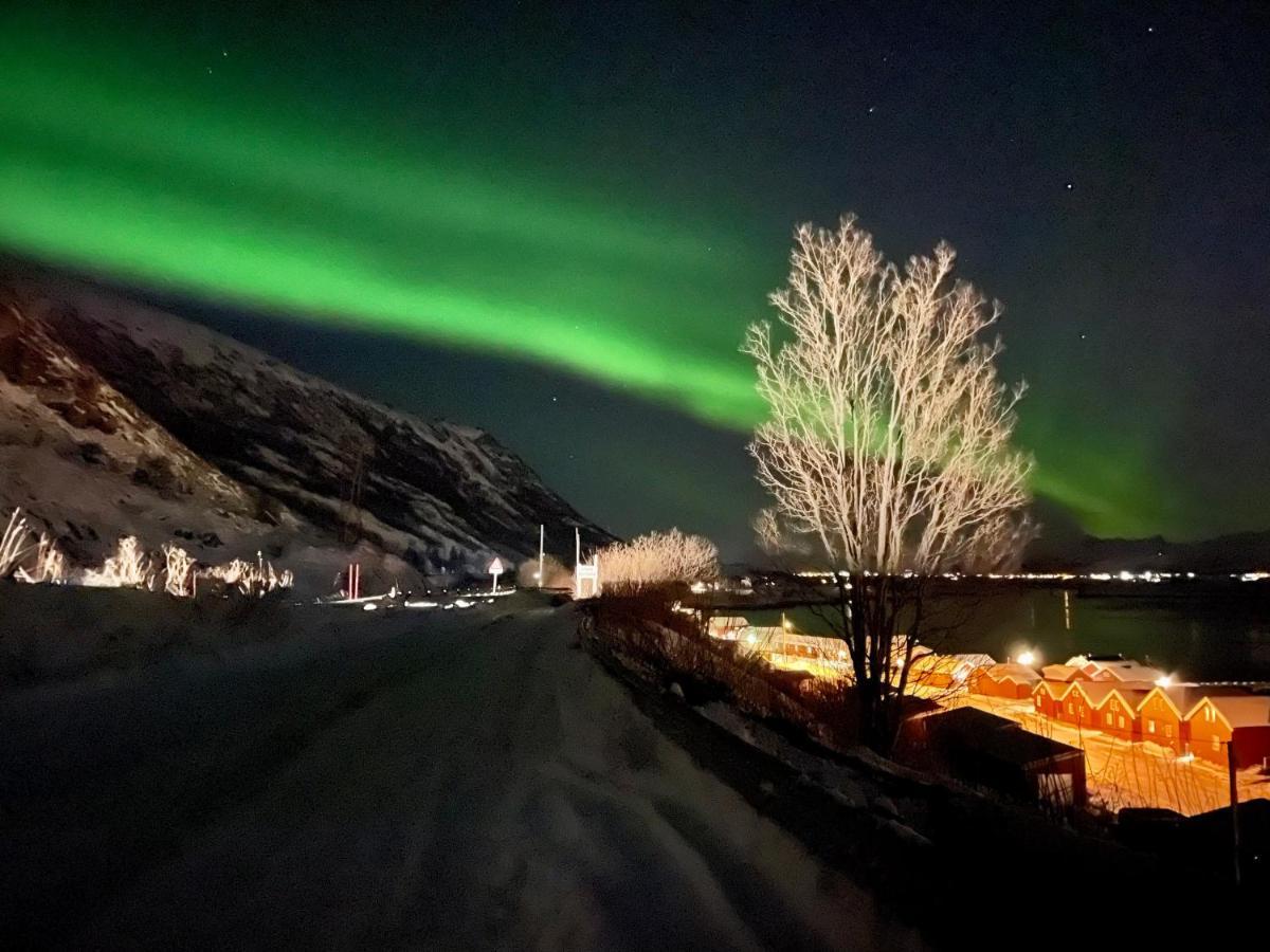 Lofoten Havfiske Лекнес Екстер'єр фото