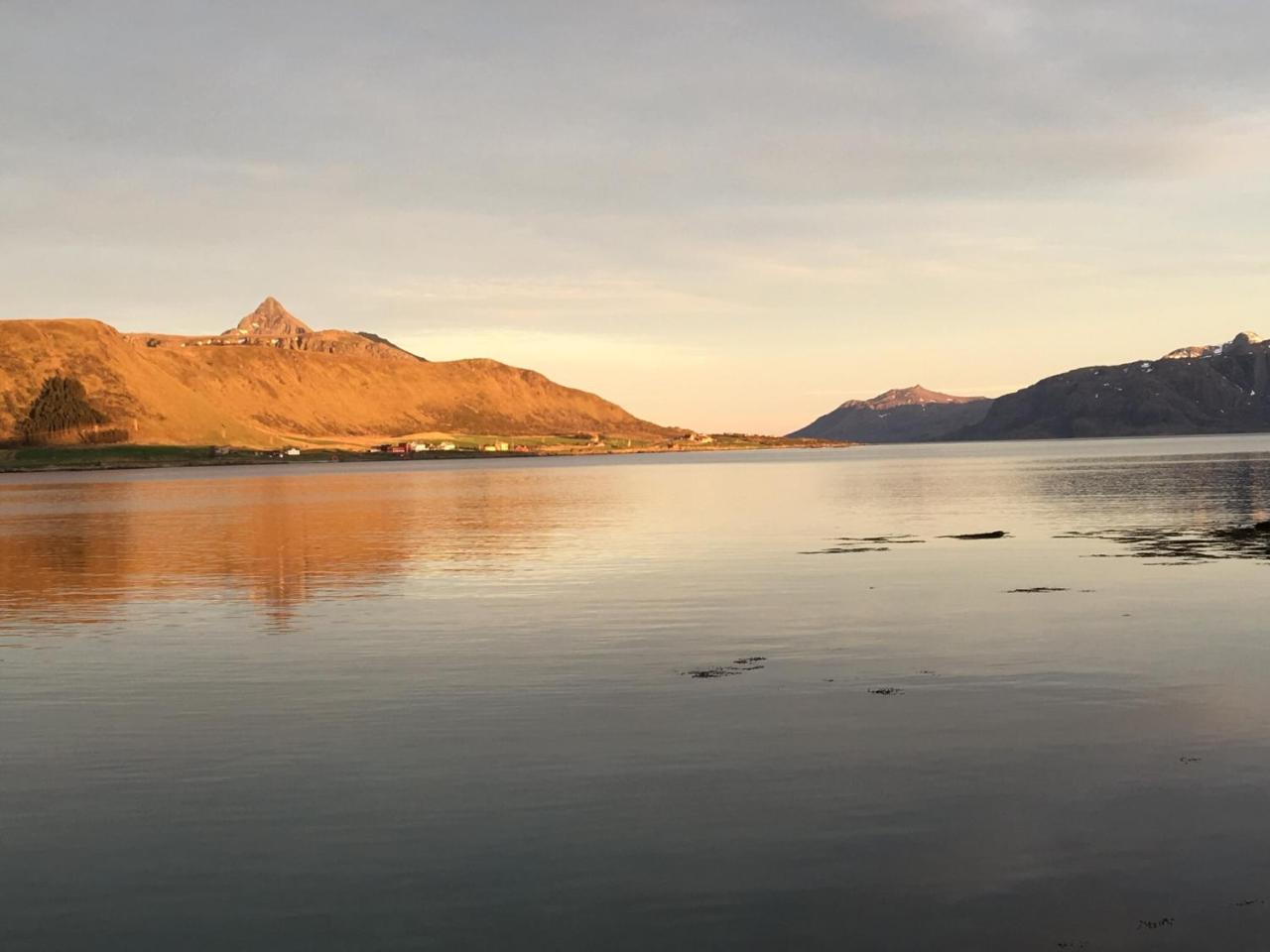 Lofoten Havfiske Лекнес Екстер'єр фото