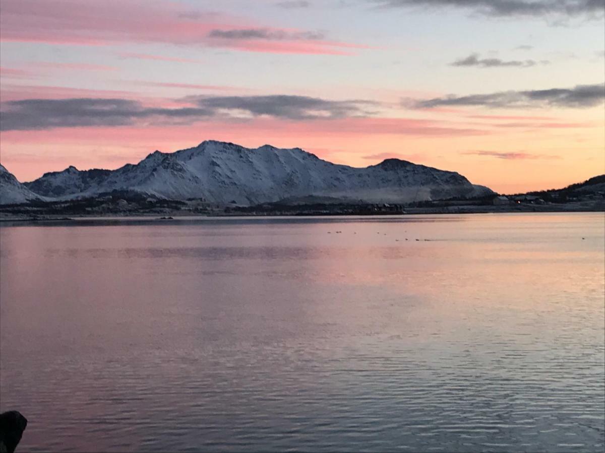 Lofoten Havfiske Лекнес Екстер'єр фото